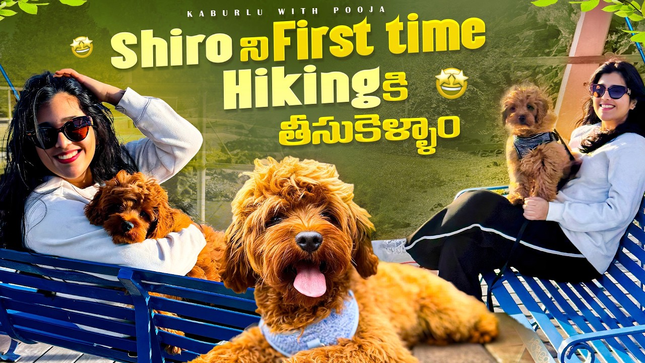 Our Puppy’s First Hike in Australia | Telugu vlog | Life in Australia