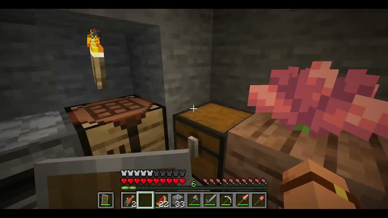 Playing Minecraft until Hytale launch