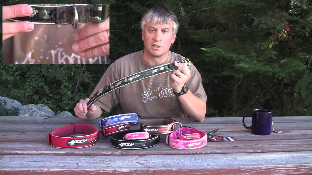 EzyDog Neo Dog Collars