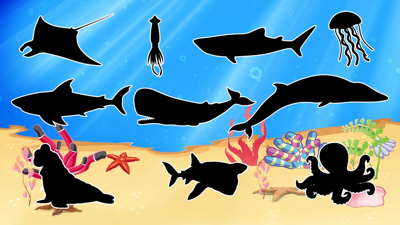 Que GIGANTE do OCEANO É ESSE? 🐋 Jogo de Sombras para Crianças!