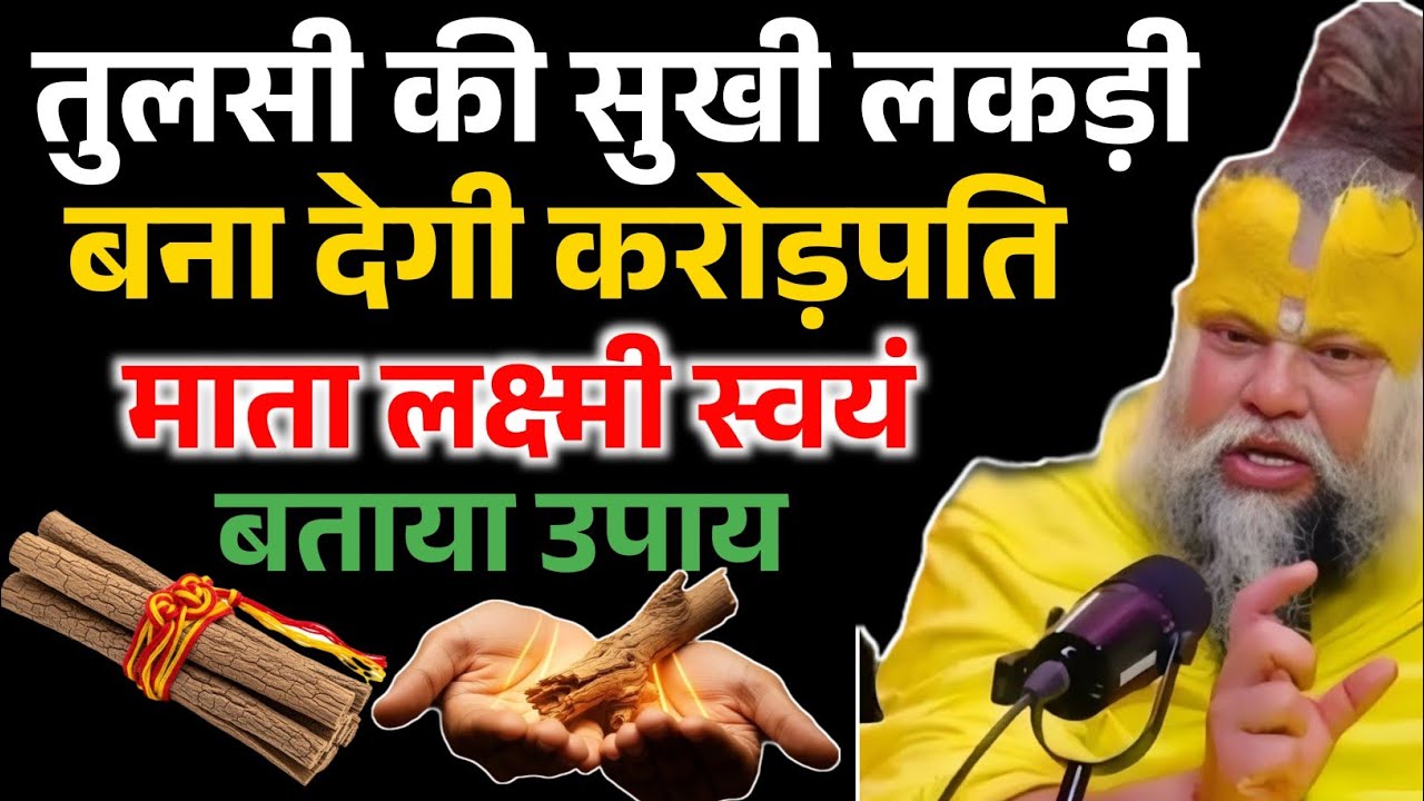 तुलसी की सुखी लकड़ी बना देगी करोड़पति, माता लक्ष्मी ने स्वयं बताया उपाय ! Premanand ji Maharaj