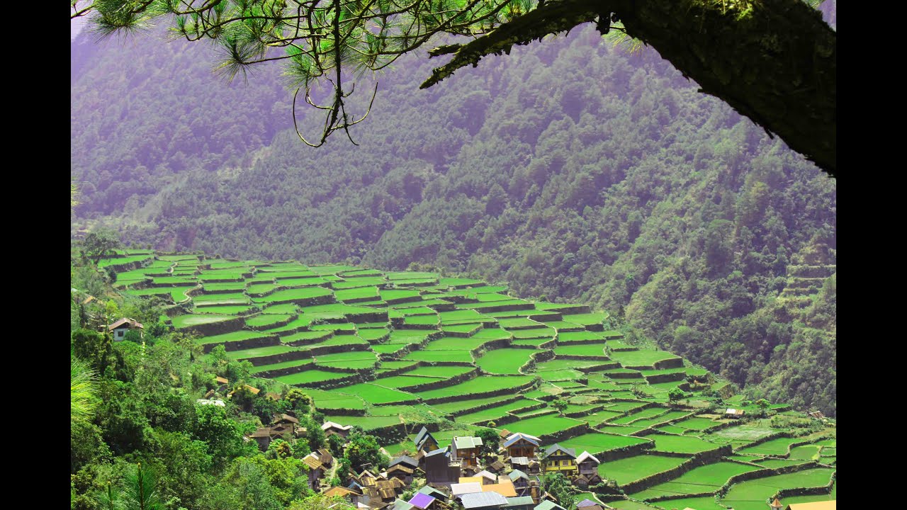 Full Video of Bayyo, Bontoc, Mountain Province