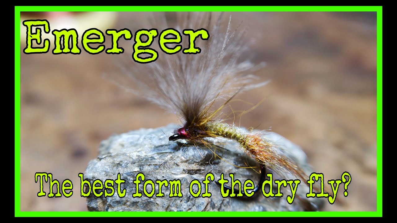 Emerger best form of dry fly