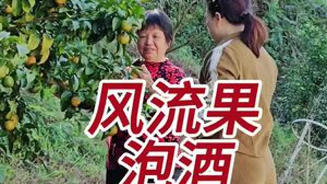 自家小锅米酒泡风流果，口感应该不错，谁喝谁知道[调皮][强]#我的乡村生活#风流果