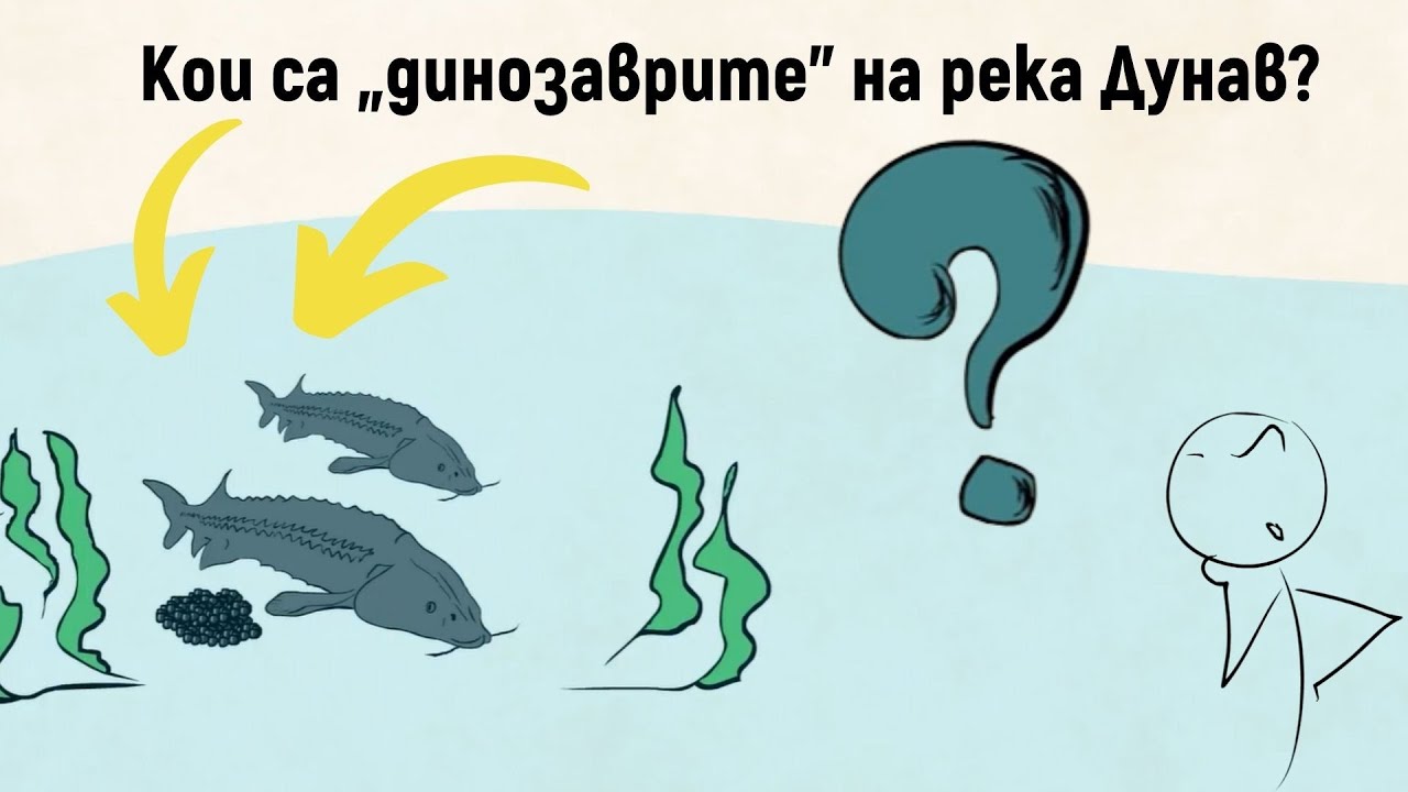 Кои са „динозаврите“ на река Дунав?