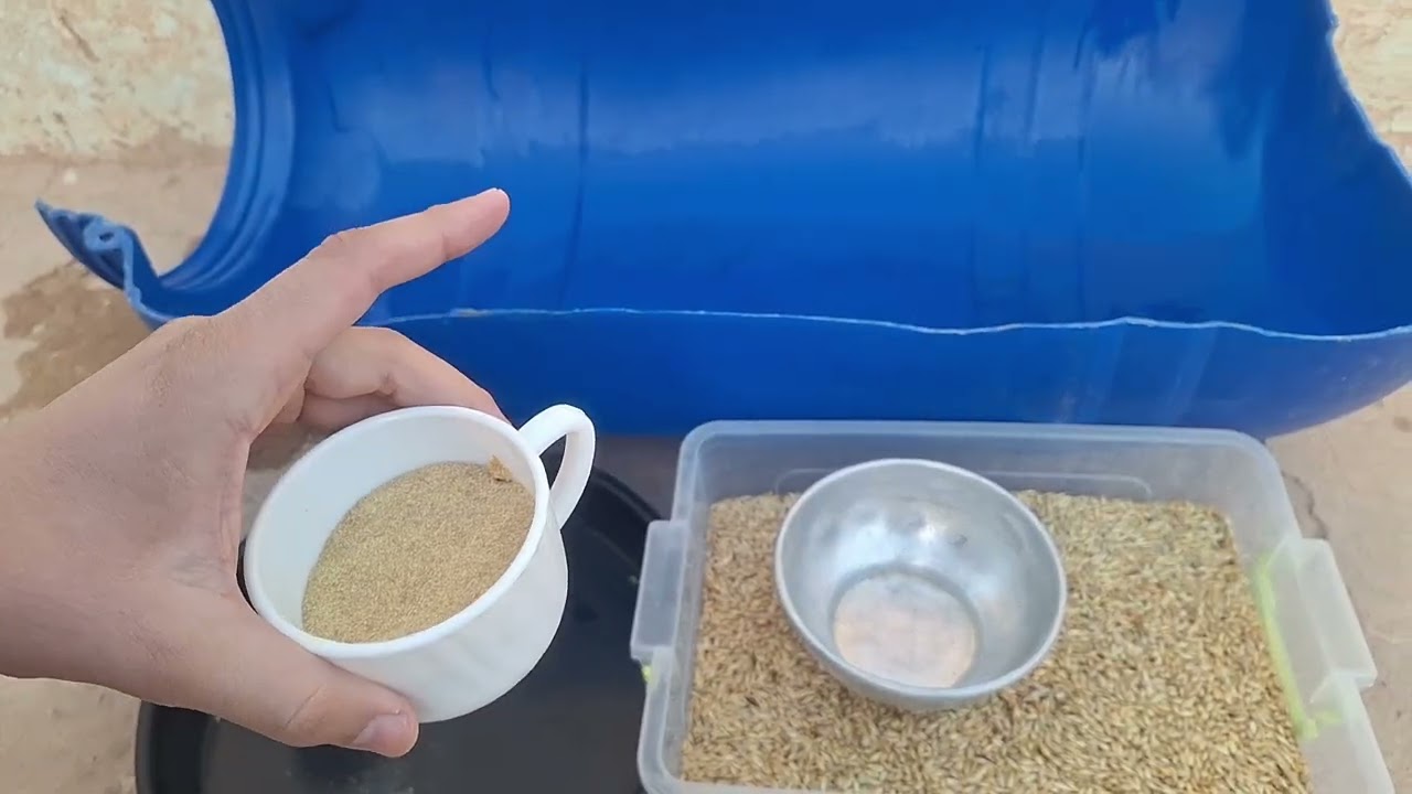 خلطات الحلبة كاملة لتسمين و علاج الأغنام  ( طرق اهل  الخبرة في إستعمال الحلبة )