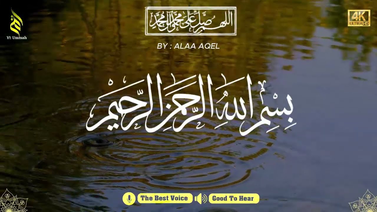 Quran recitation in a peaceful voice I Alfatiha, ayat alkursi, yasin, alwaqiah, arrahman, Alaa aqel