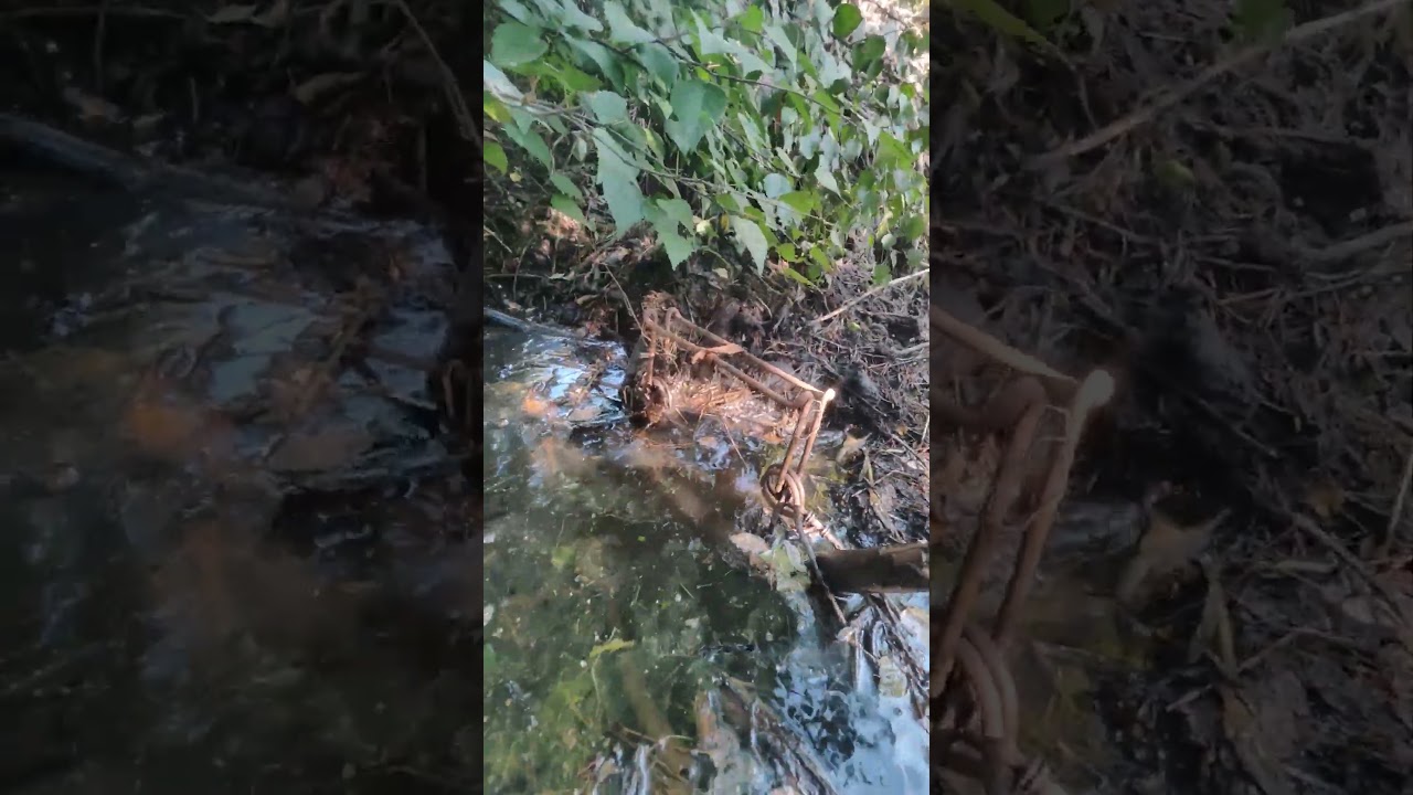 5 Easy Ways To Set Bodygrip (Conibear) Traps For Beaver