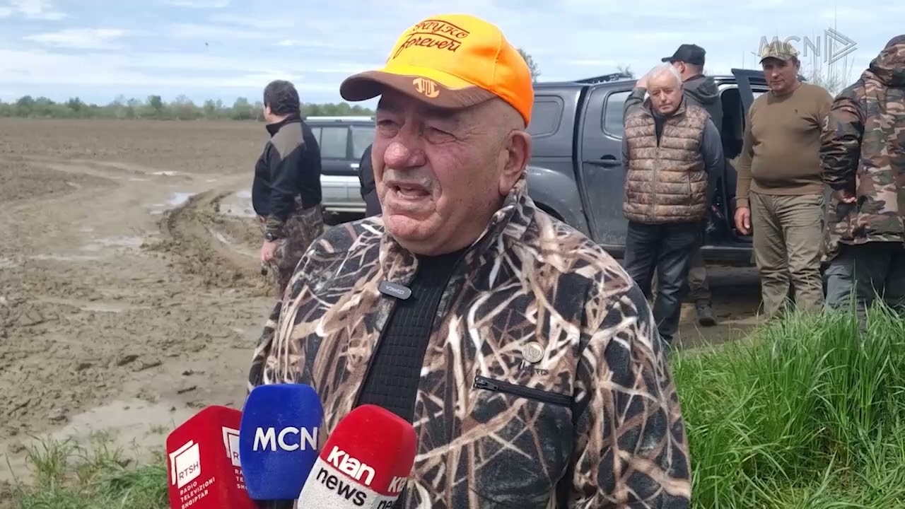 Rikthehen fazanët në Divjakë / Moratoriumi deri në qershor, pritet rishikimi i ligjit