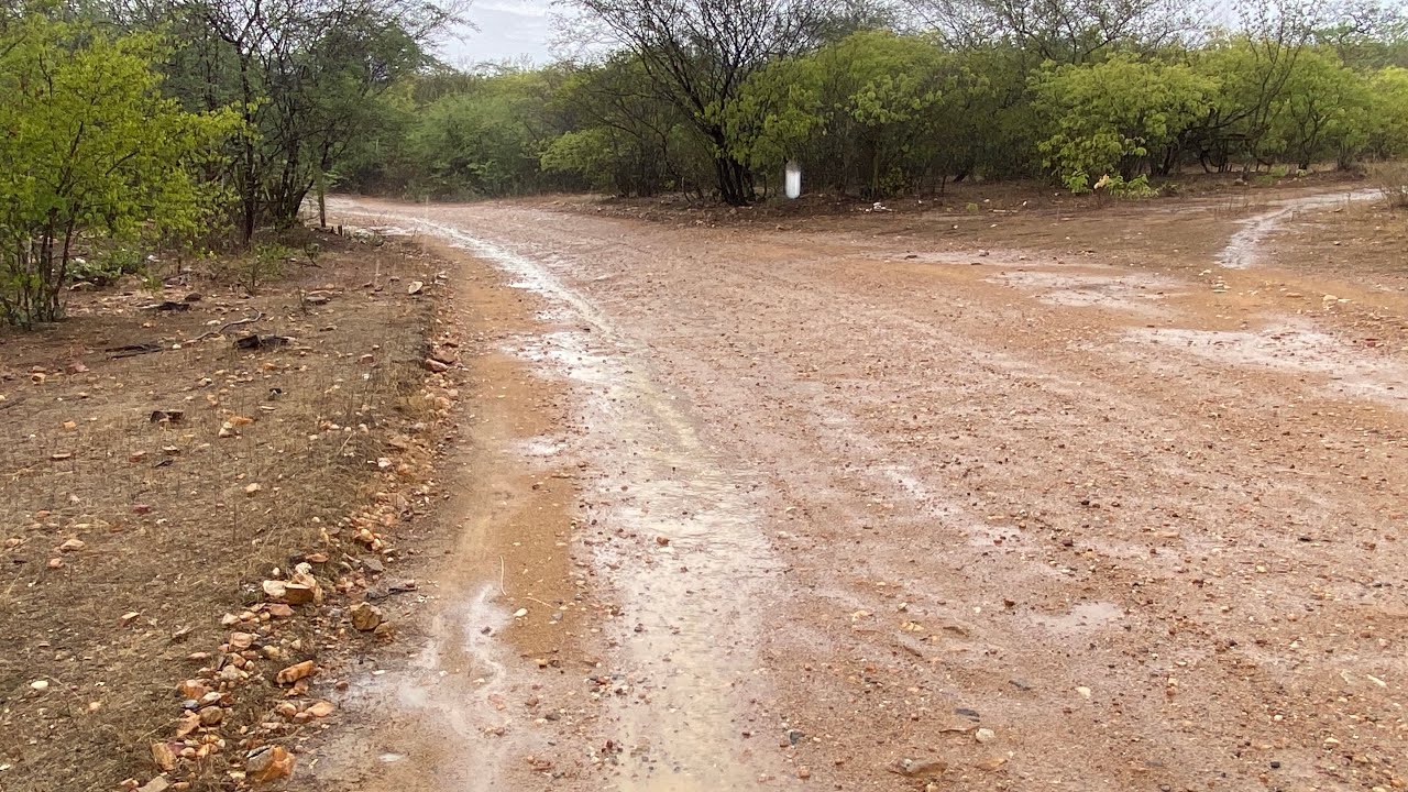 DIA DE CHUVA NO SERTÃO PERNAMBUCANO 