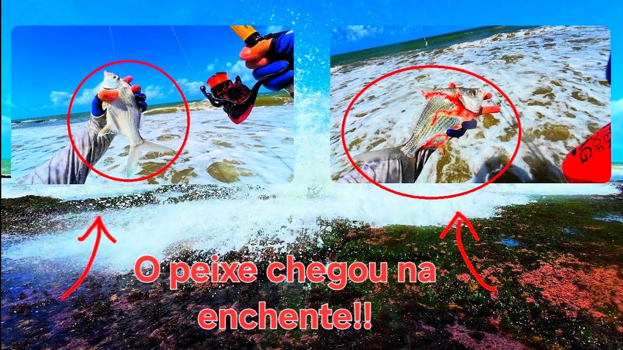 O peixe chegou na enchente! - Pescaria na praia de Boa viagem - Recife