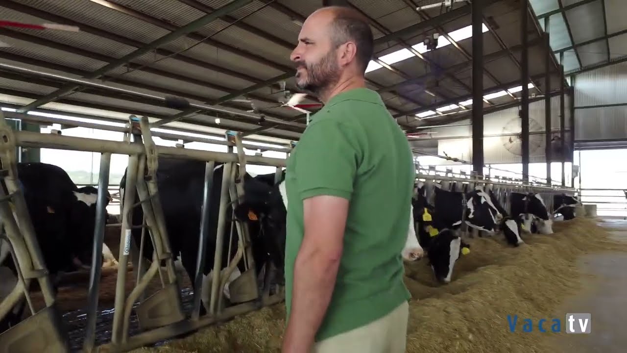 Rebaño monitorizado con SenseHub® de MSD Animal Health en Niño Bonito (Dos Torres, Córdoba)