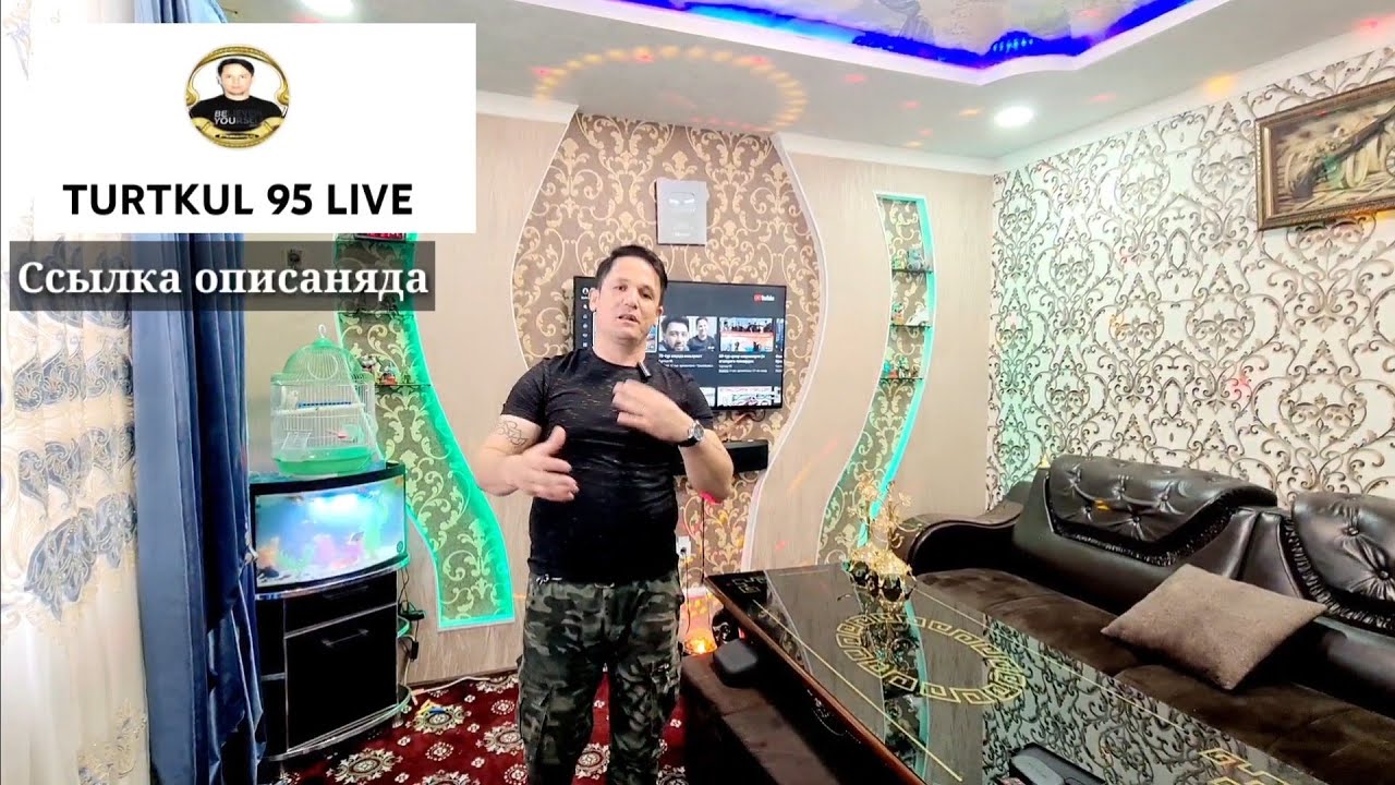 янги канал Турткул 95 LIVE блогерлар билан яқинроқ бўлинг