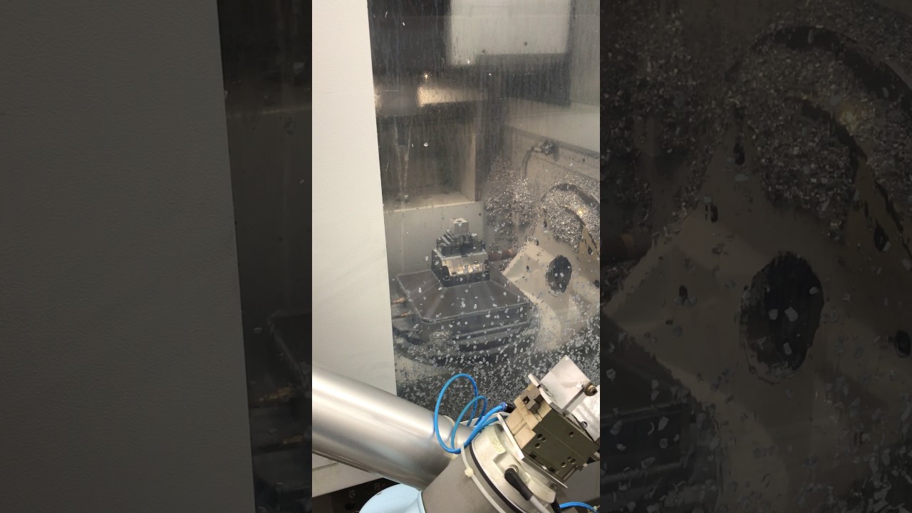 CJ-Optik Flexion Body 2