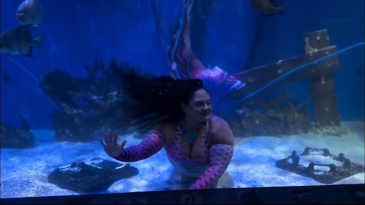 @TheMertailor Mermaid Aquarium Encounter-Tour & Exclusive Interview with Eric Ducharme