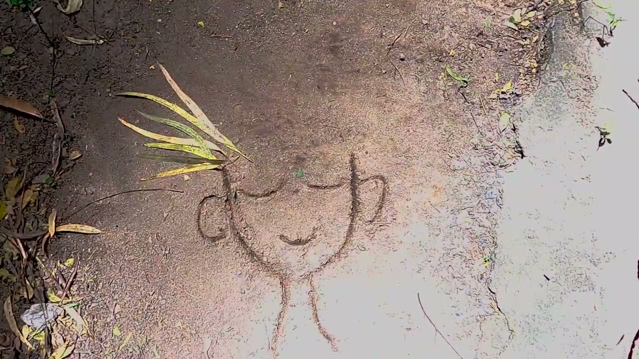 MINI CLASE | LAND ART: Arte en la naturaleza