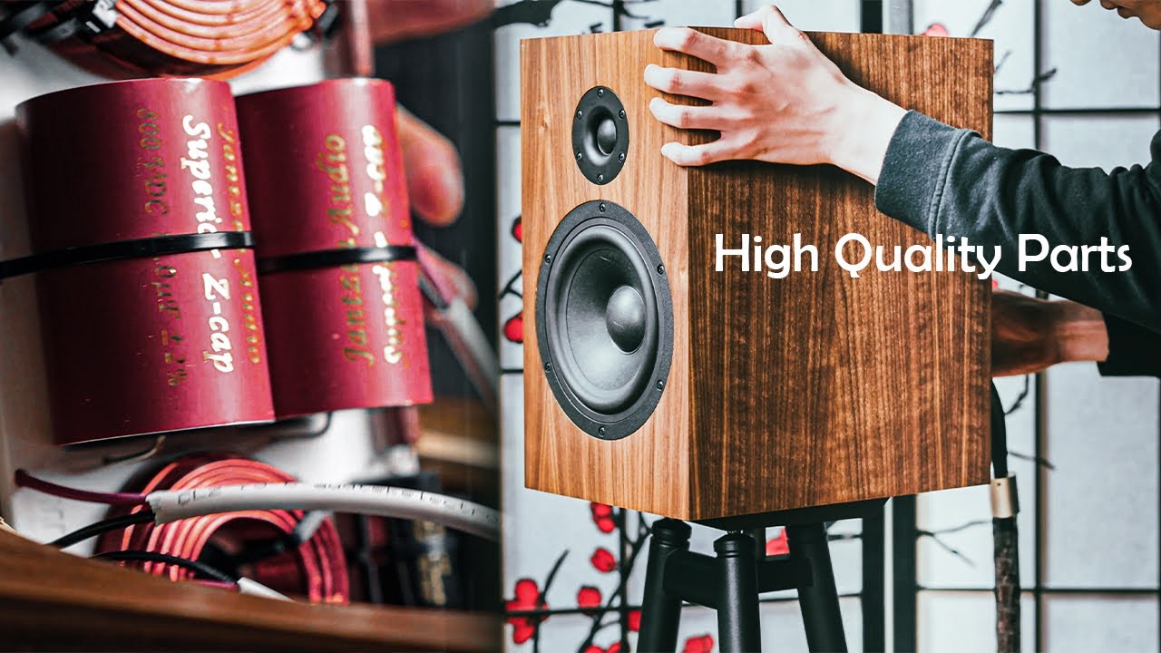 This Time... I Built A DIY Speaker That DESTROY Expensive Audiophile Speakers ...