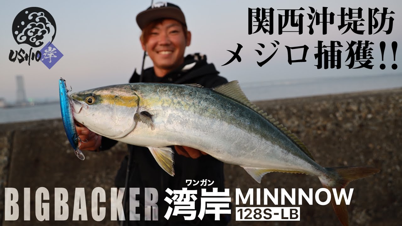 【USHIO】湾岸ミノーでメジロ捕獲！！関西 大阪湾 泉佐野一文字 / ビッグバッカー BIGBACKER / 杉山代悟