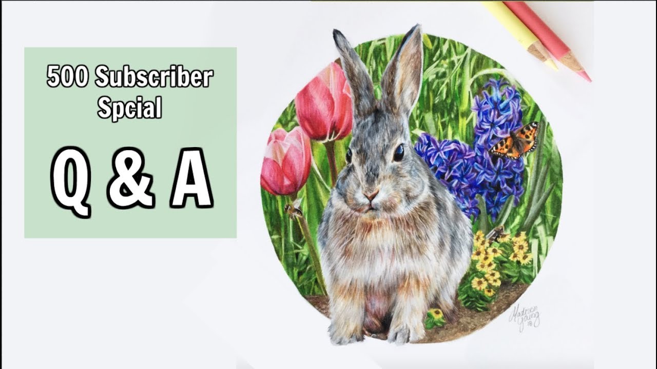 Drawing a bunny - Q&A