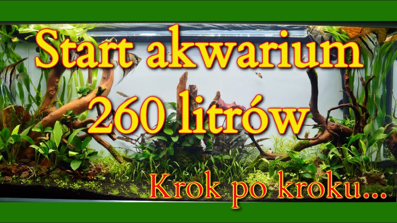 START AKWARIUM 260 litr&oacute;w od PODSTAW