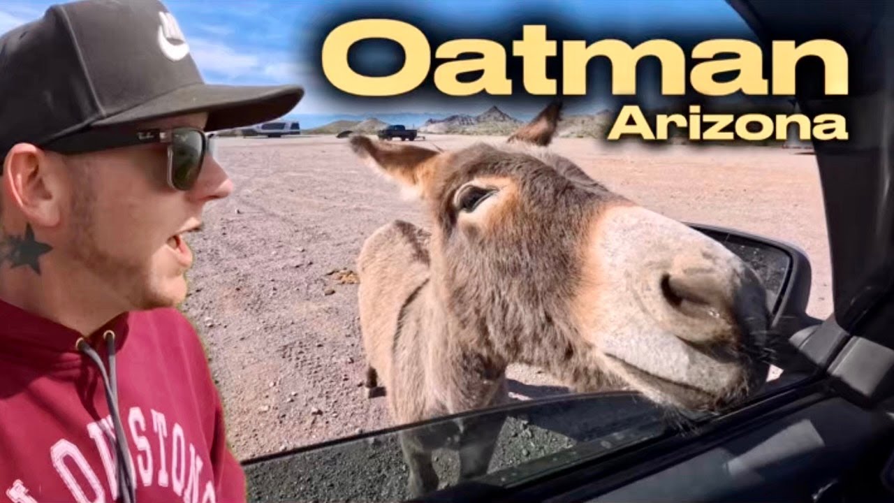 We’re On The Move - OATMAN AZ & I Have A Friend Visiting!