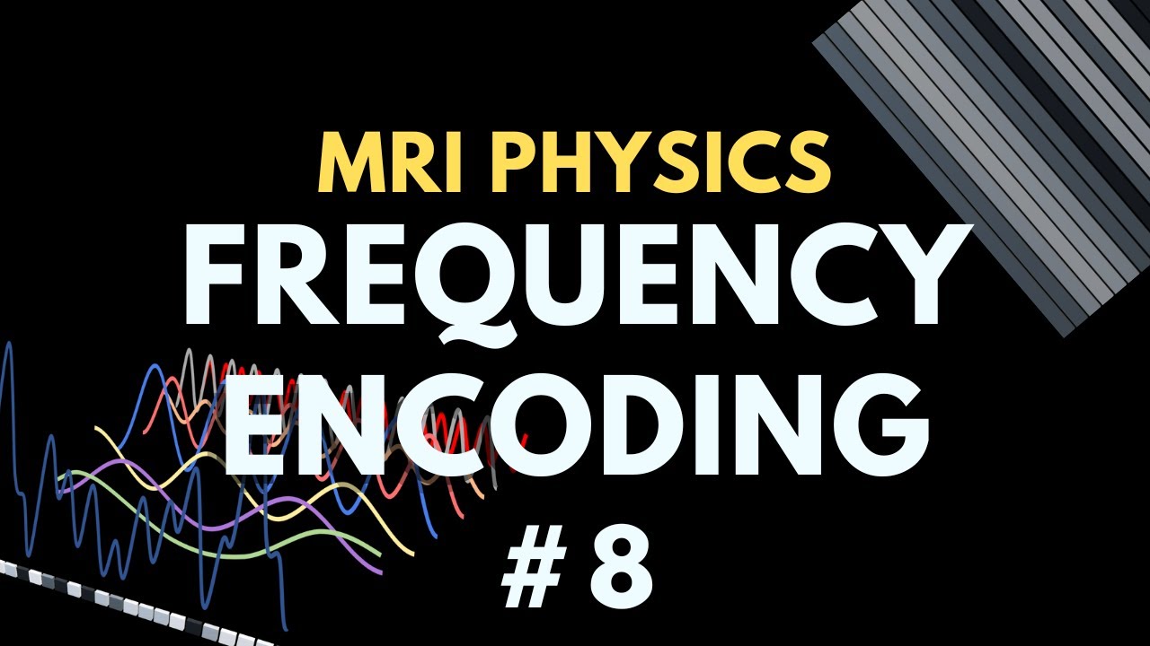 Frequency Encoding Gradient | MRI Signal Localisation | MRI Physics Course #8