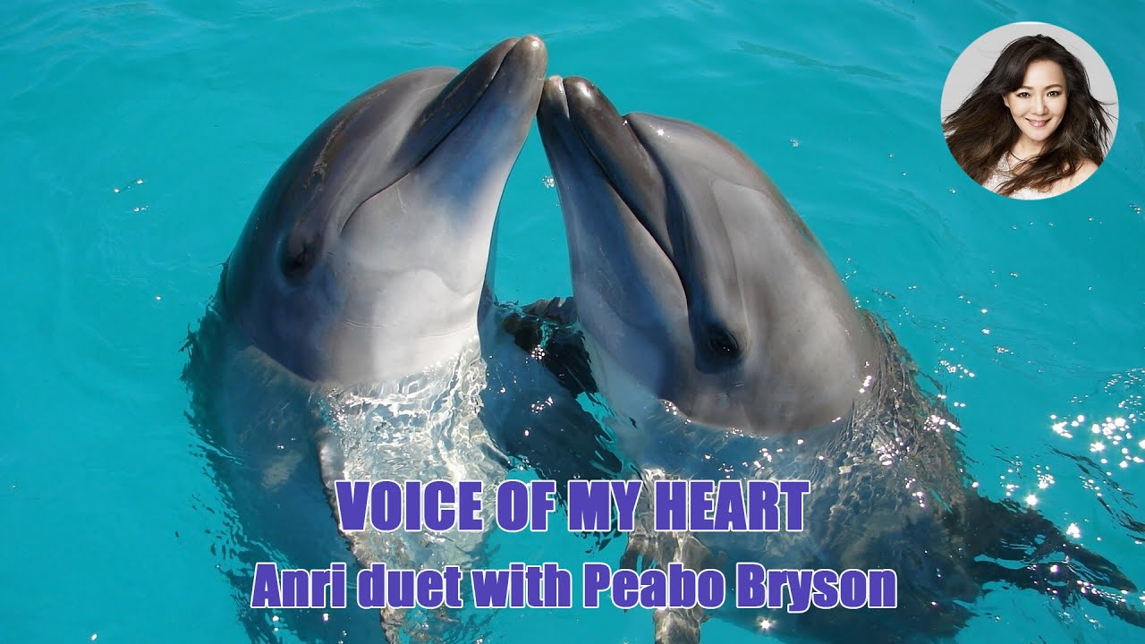 杏里 Anri duet with Peabo Bryson / VOICE OF MY HEART [Official Video]