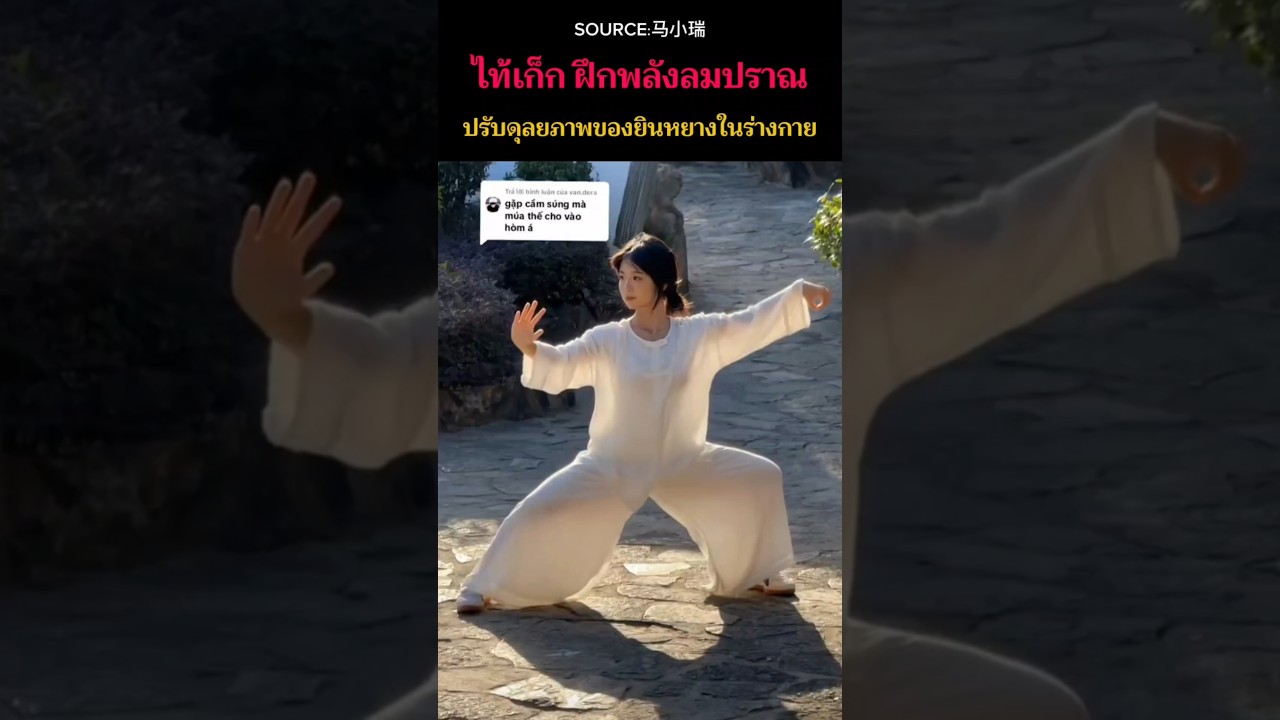 🇨🇳ไท้เก็ก ฝึกพลังลมปราณ​ ปรับดุลยภาพ​ของหยินหยาง​ในร่างกาย