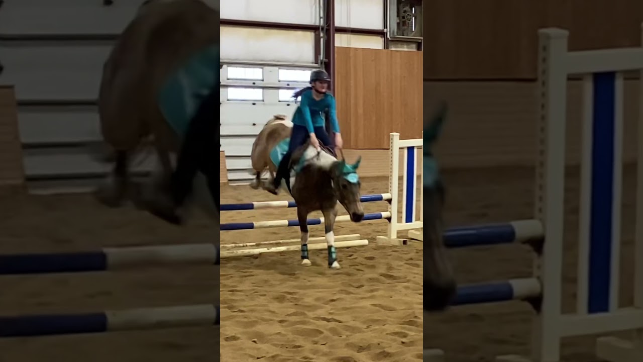 Same jump, two years apart 💕 #fypシ #viral #horse #equestrian #edit #glowup