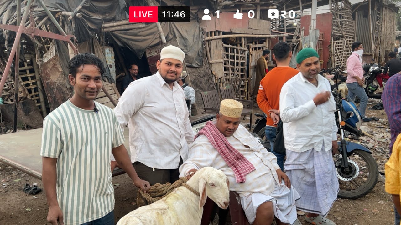 Kolkata Bakra Mandi | Goat Market Price Update