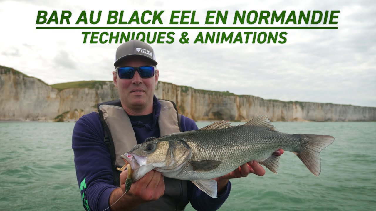 Fiiish - Pêche du bar au Black Eel en Normandie