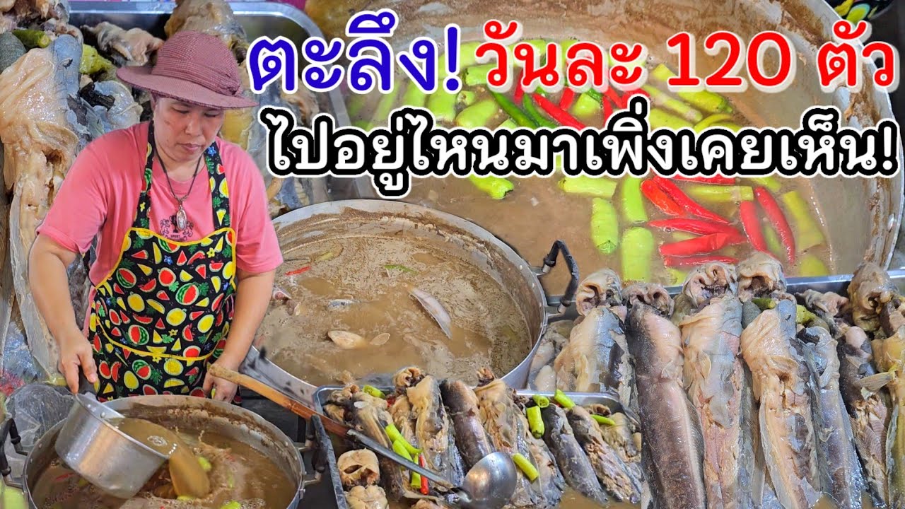 ฮิตทั่วบ้านทั่วเมือง‼️จริงมั้ย!?ขายดีจนไม่มีโชว์💥ปลาดุกปลาร้าลอย120ตัว ต้มไม่ทัน แบบนี้เพิ่งเคยเห็น