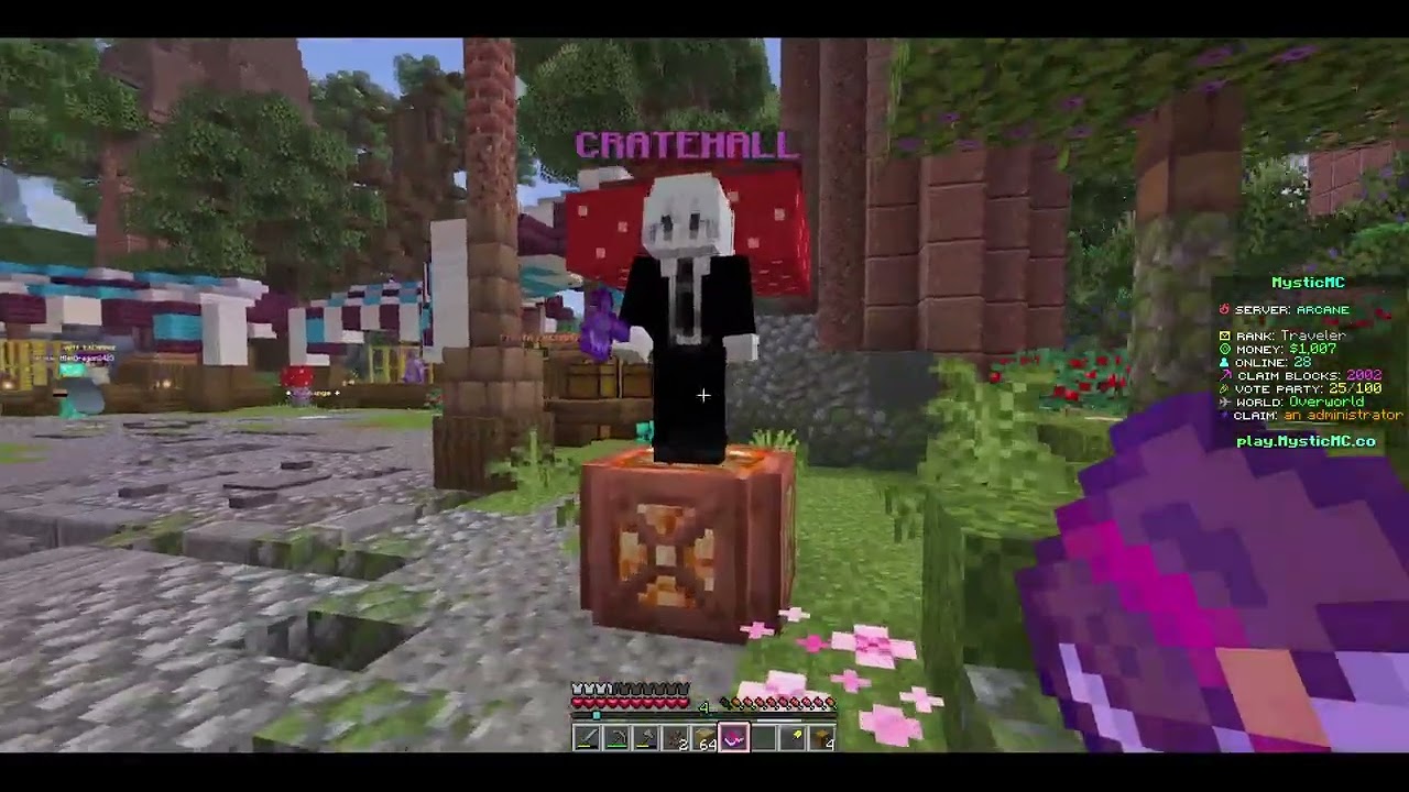 Servers are Fun | MysticMc Ep 1