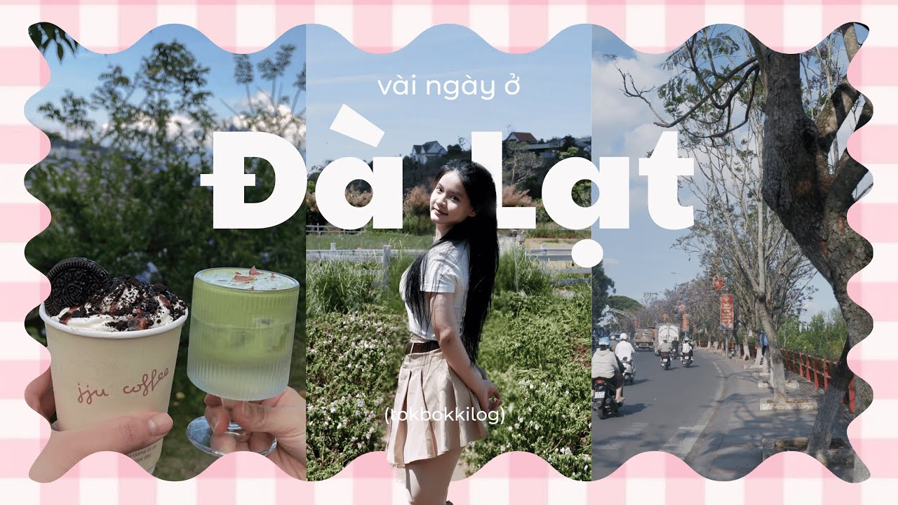 Đà Lạt Vlog 🍒 Cùng đi ăn ngon, đi cafe đẹp nhé