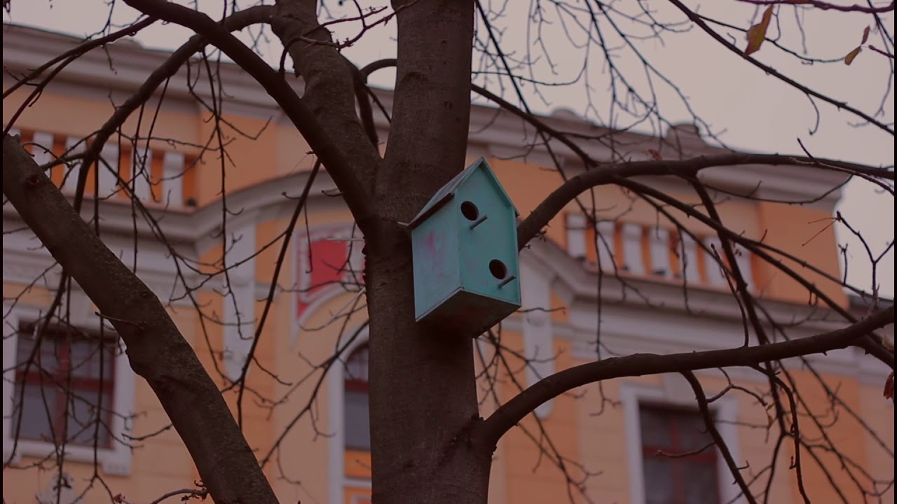 Cluj-Napoca, Piata Cipariu 2020