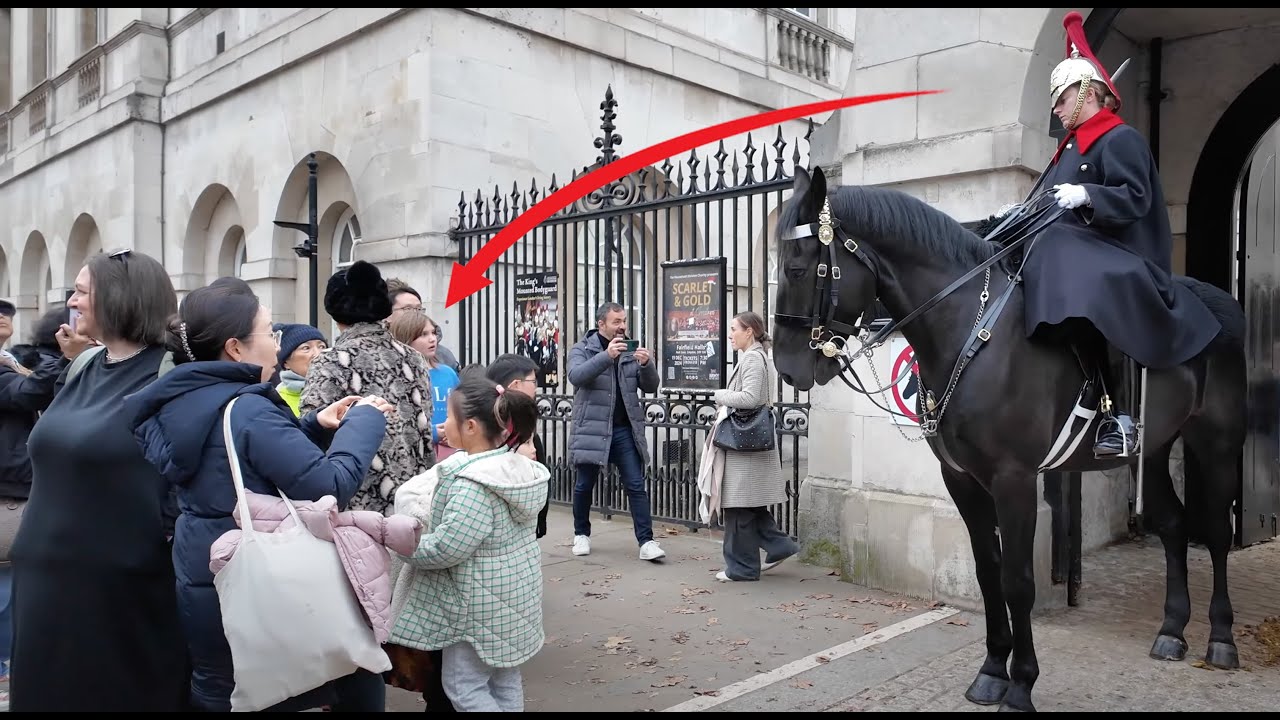 Lady Guard REPEATEDLY Told tourists to STAND BACK BEHIND THE BOLLARDS ‼️