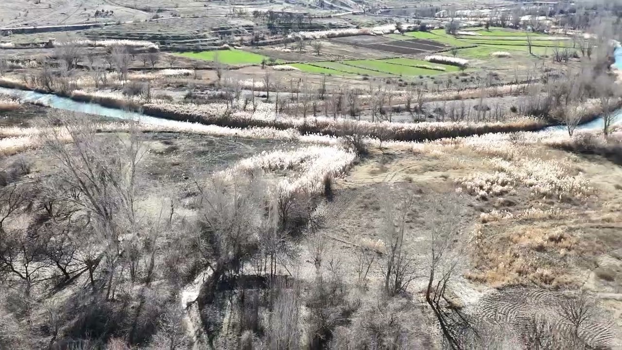 malatya darende ılıca  domuz avı 2025