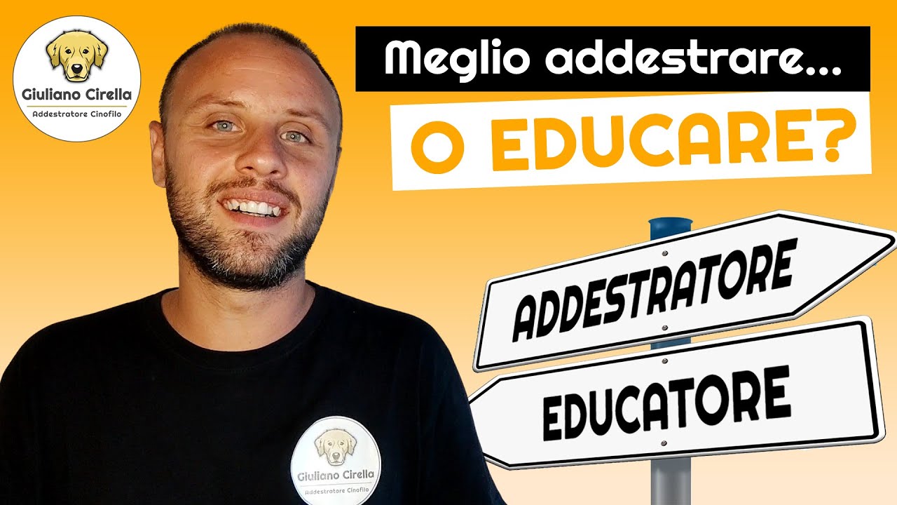 🐶 Educatore vs Addestratore vs Istruttore Cinofilo: Tutte le differenze | Giuliano Addestratore