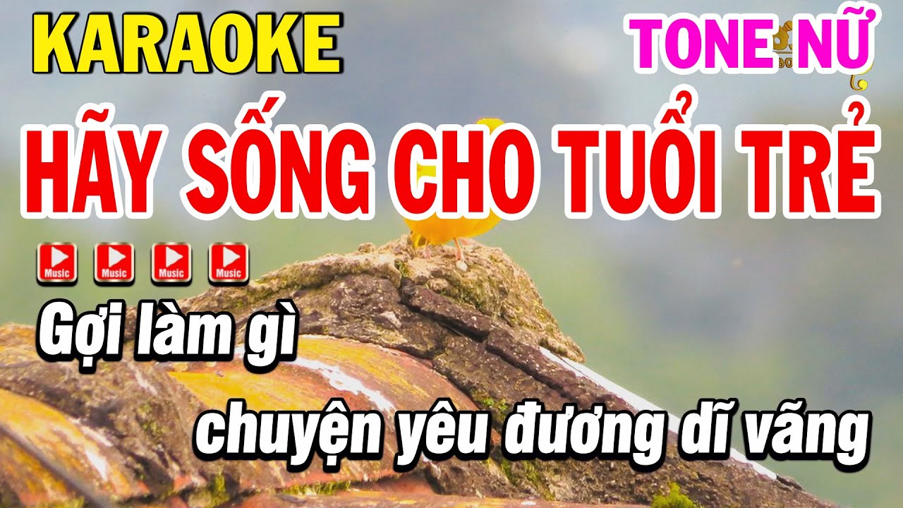 Karaoke Hãy Sống Cho Tuổi Trẻ ( Say You Will ) Tone Nữ Beat Mới | Karaoke Phi Long