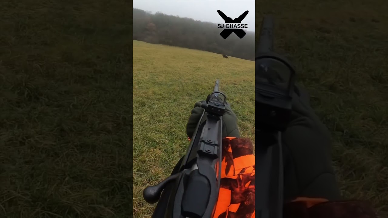 Tir d&rsquo;un gros sanglier en plaine !! #chasseausanglier #chasse #wildboar #chasseur