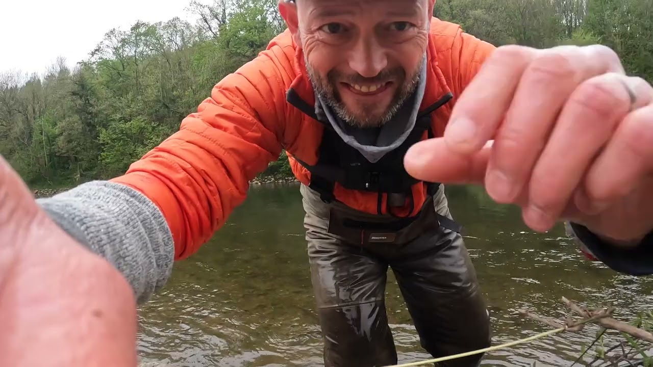 First Wye Salmon -Goodrich Court April 2022