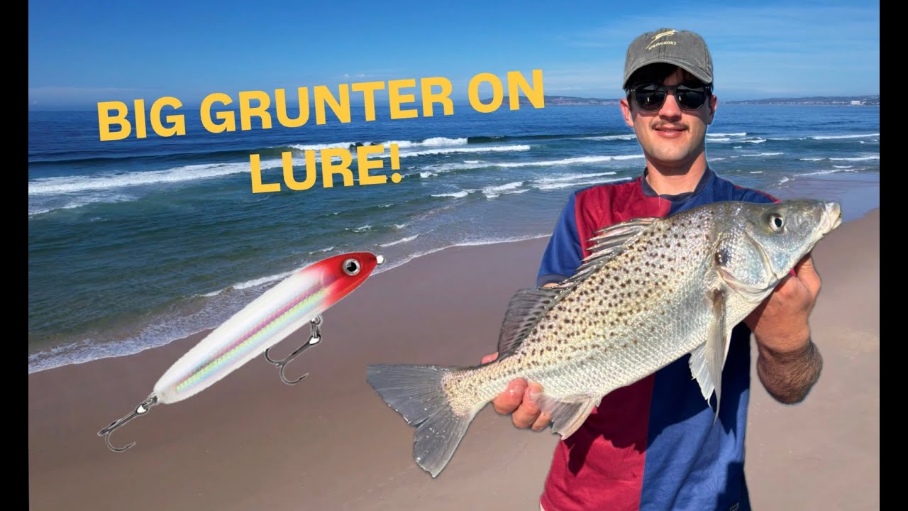 HOW TO CATCH GRUNTER ON SURFACE LURES!