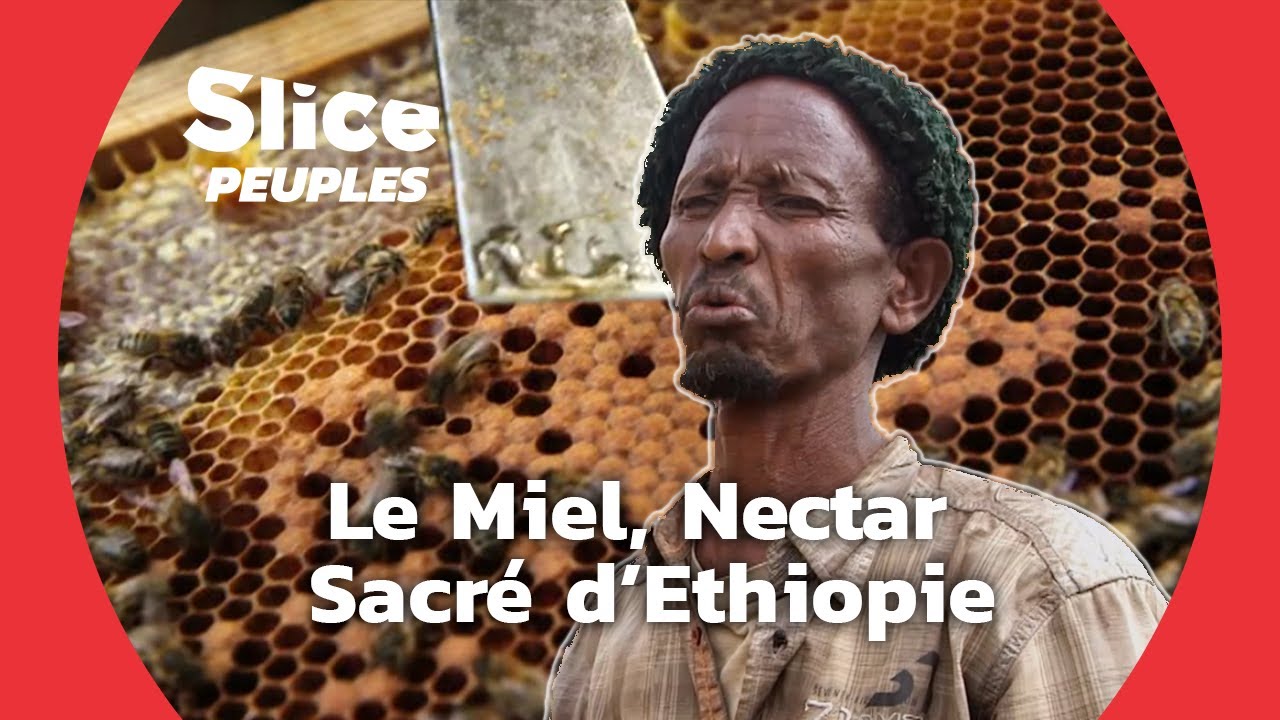 La Culture du Miel : Un Savoir Faire Ancestral | SLICE PEUPLES