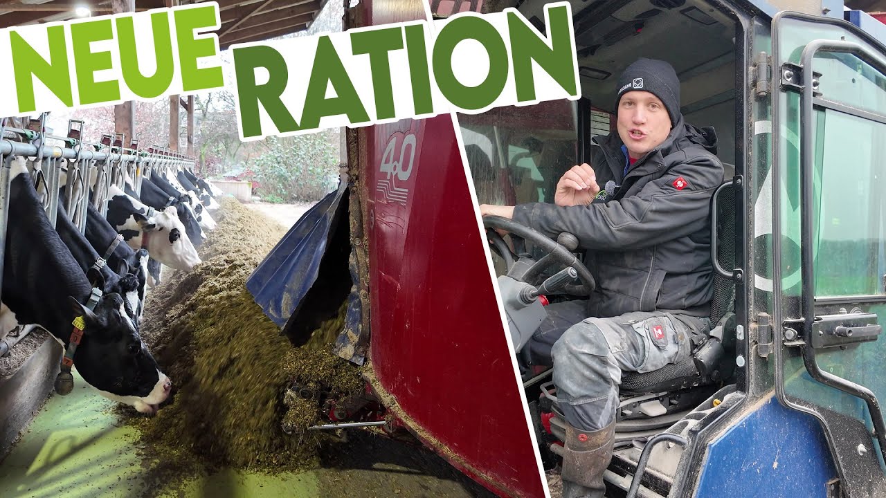 🐄 13 Zutaten für unsere Milchkühe: Das ist unsere neue Futterration!