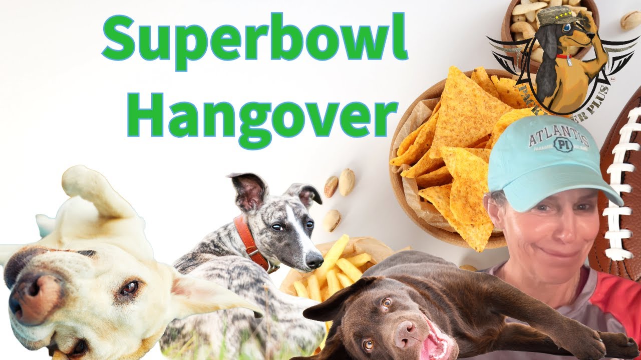 Why do I need to motivate u all?