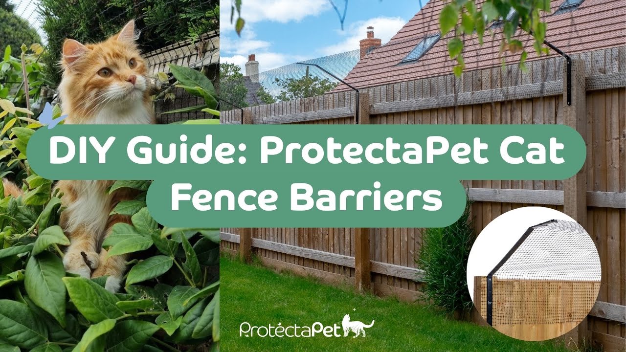 🐱🔧 Руководство своими руками: как установить ограждения для кошек ProtectaPet