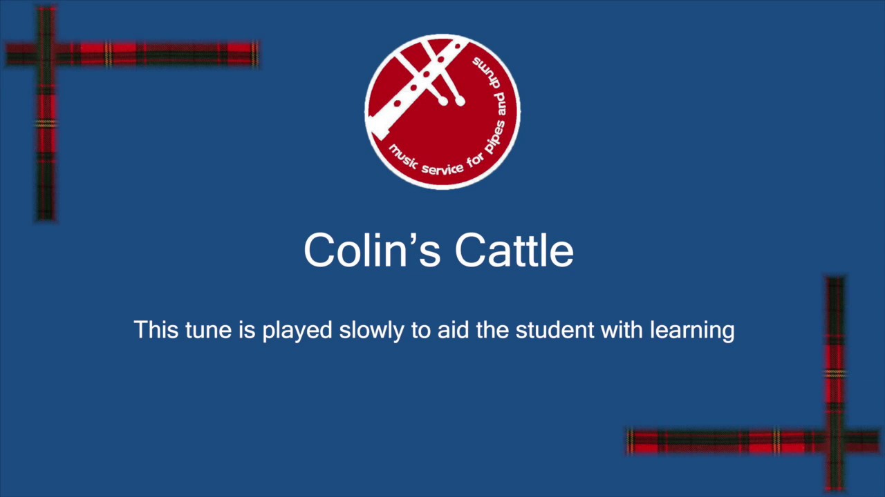 Colin's Cattle (learner)