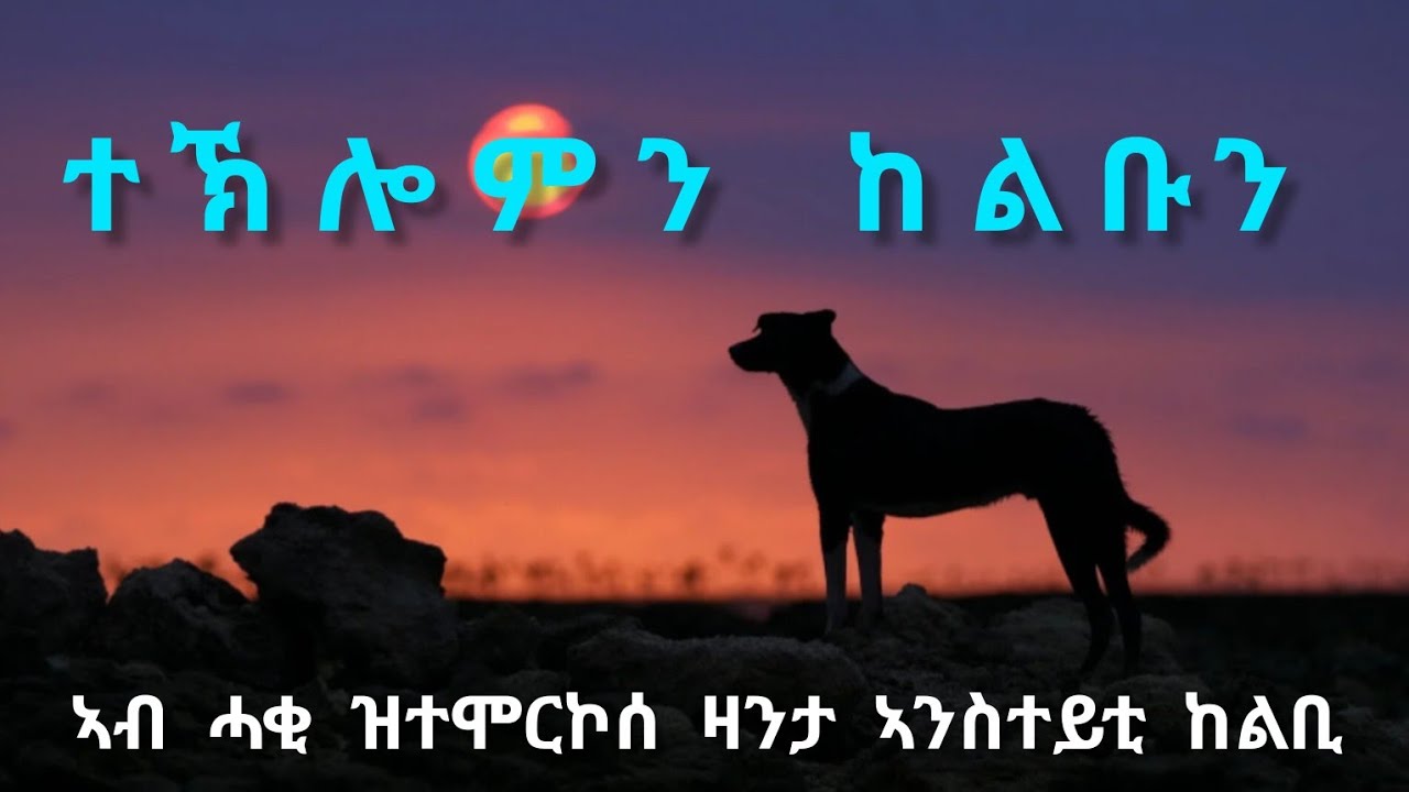 ተኽሎምን ከልቡን - Teklomn Kelbun ኣብ ሓቂ ዝተሞርኮሰ ዛንታ ኣንስተይቲ ከልቢ