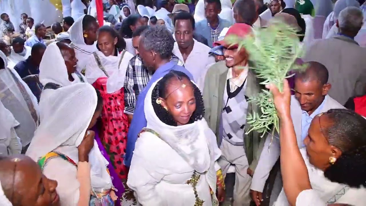 Eritrea wedding Mulue gush and frutuna part 8
