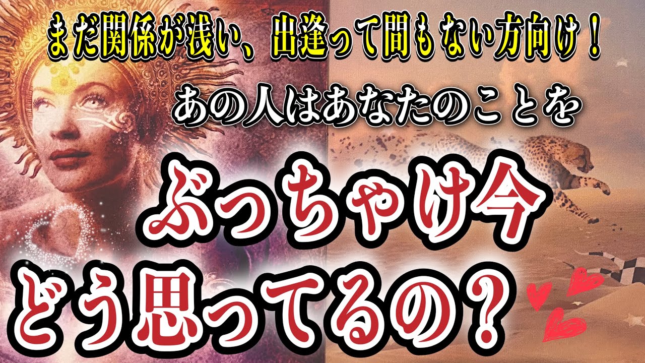 実は○○だったらしい🥺！❤️ご関係がまだ浅い方向け🐥あの人はぶっちゃけ今、あなたをどう思ってる？❤️★ 恋愛 人間関係 人生 運命★タロット占い&オラクルカードリーディング
